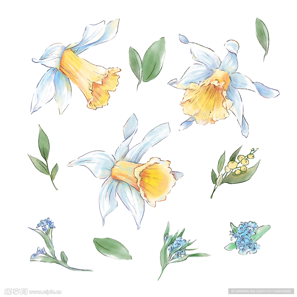 绿植花卉