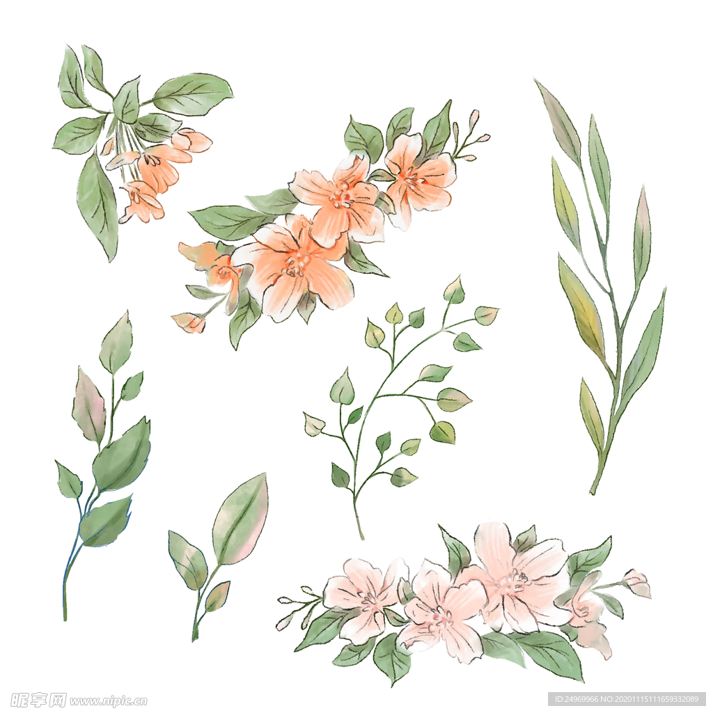 绿植花卉