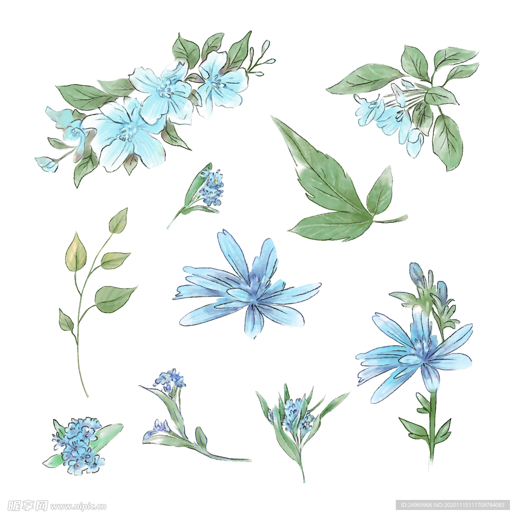 绿植花卉