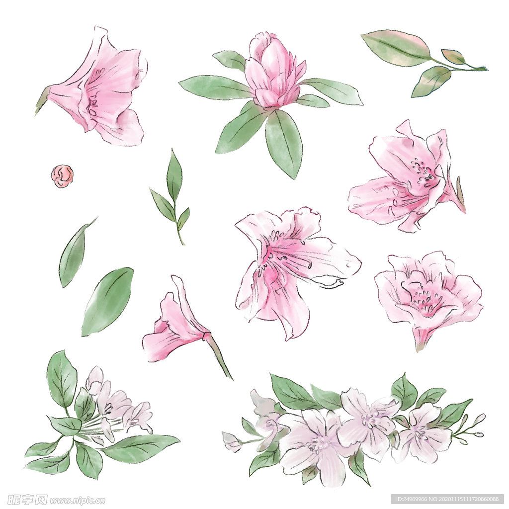绿植花卉