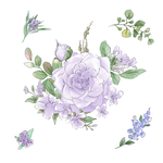 绿植花卉