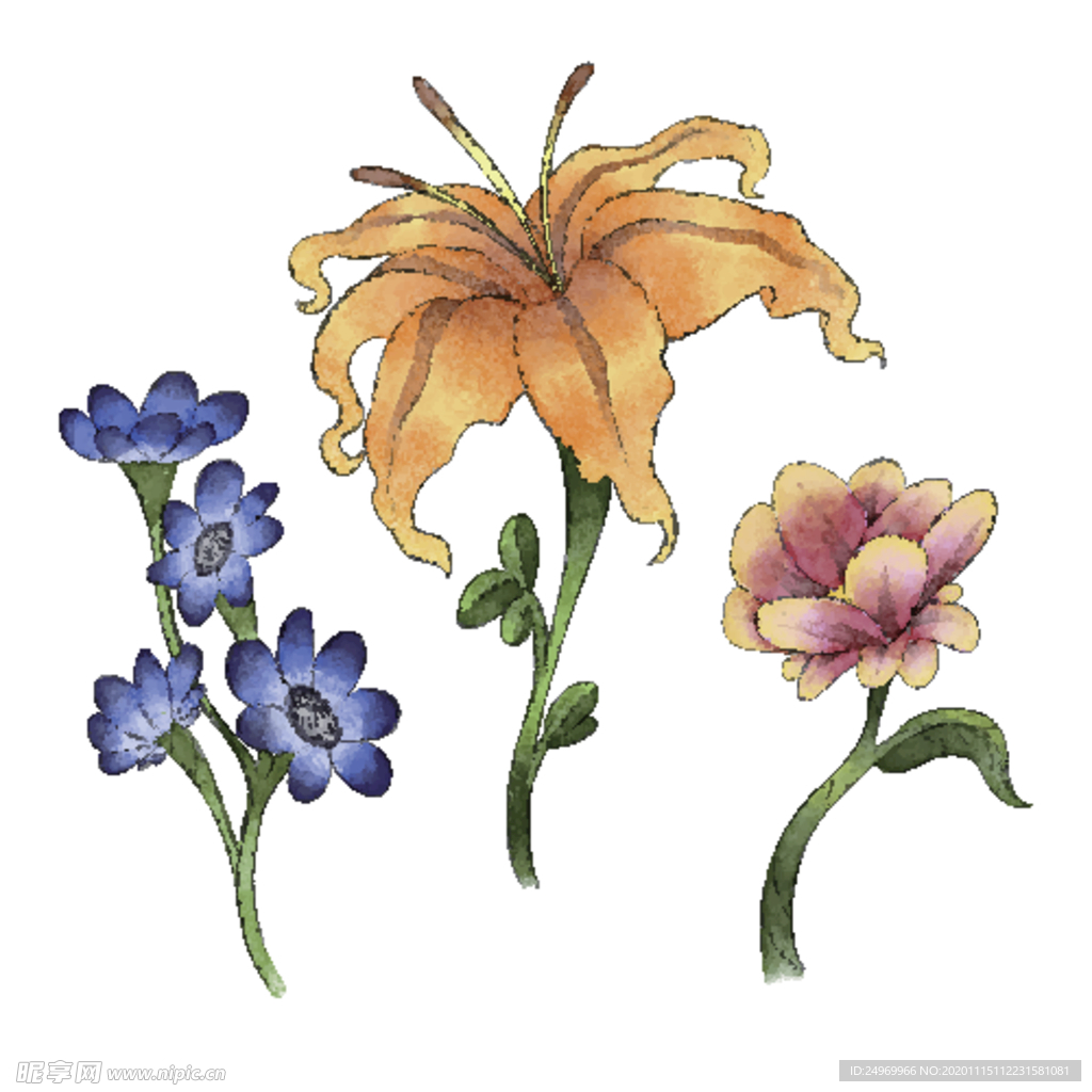 绿植花卉