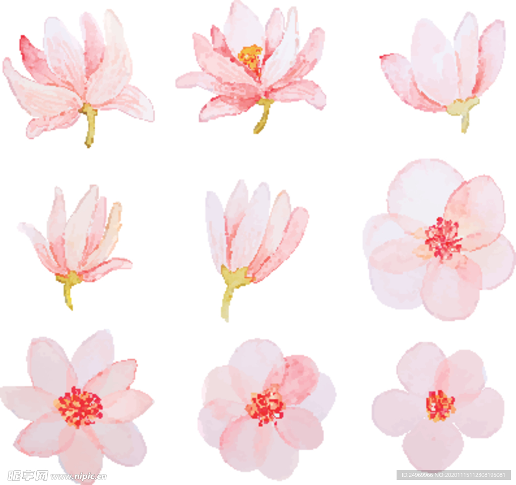 绿植花卉