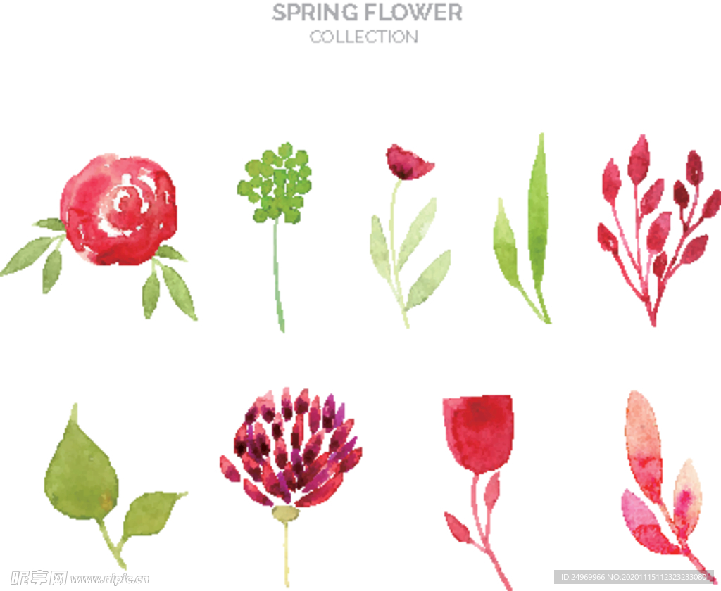 绿植花卉