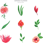 绿植花卉