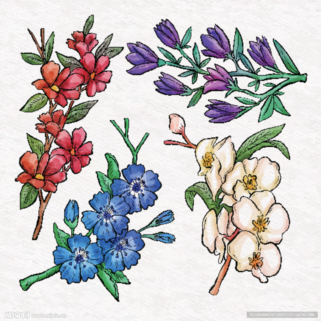 绿植花卉