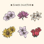 绿植花卉
