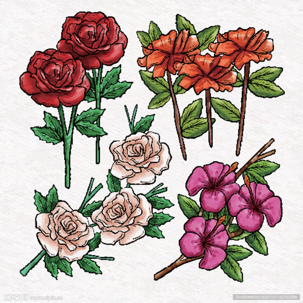 绿植花卉