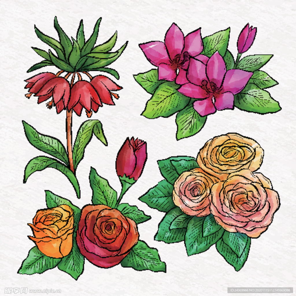 绿植花卉