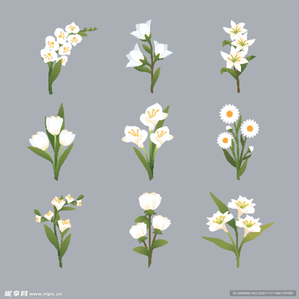 绿植花卉