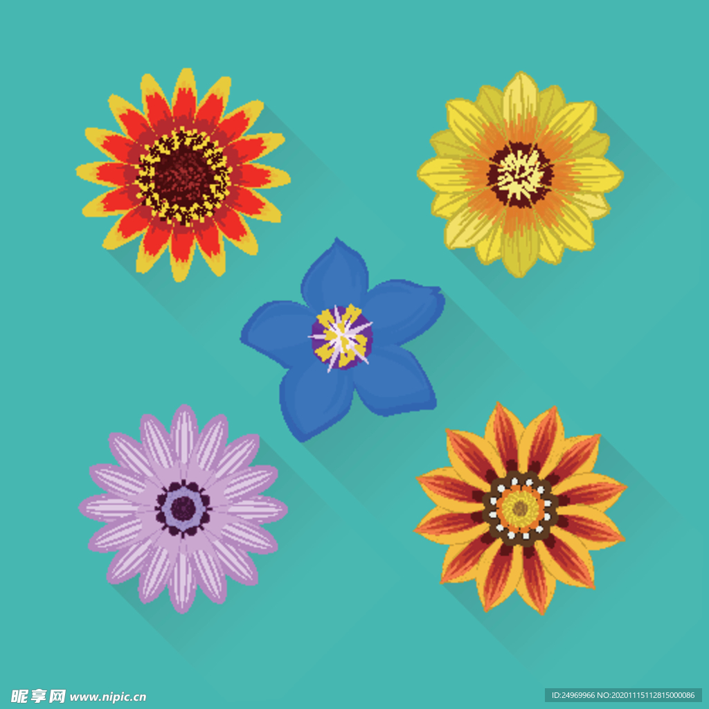 绿植花卉