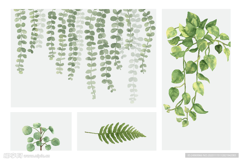绿植花卉