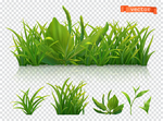 绿植花卉