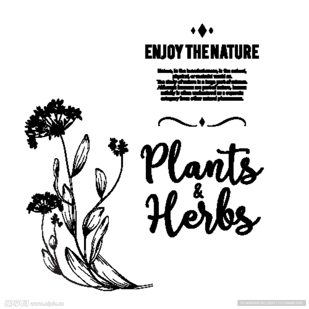 绿植花卉
