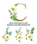 绿植花卉