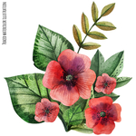 绿植花卉
