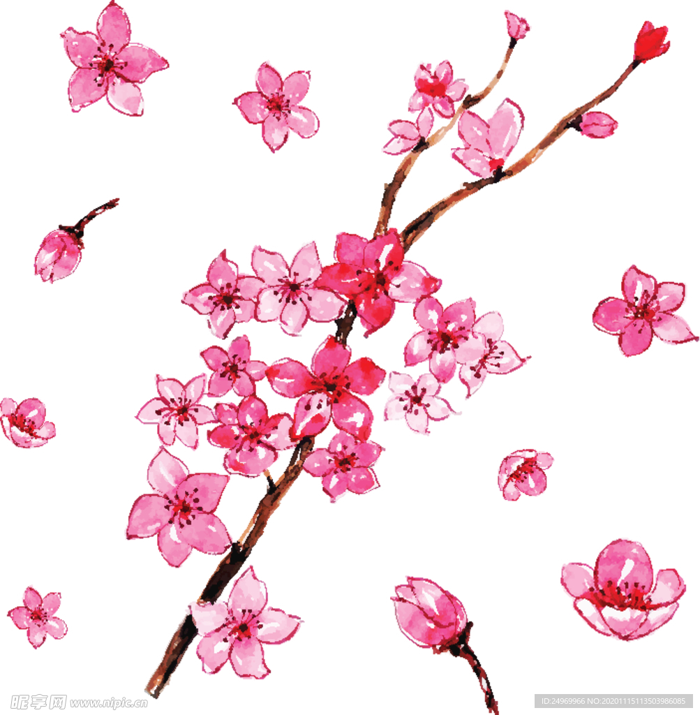 绿植花卉