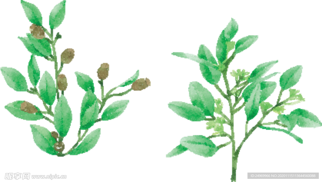绿植花卉