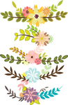 绿植花卉