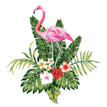 绿植花卉