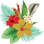 绿植花卉