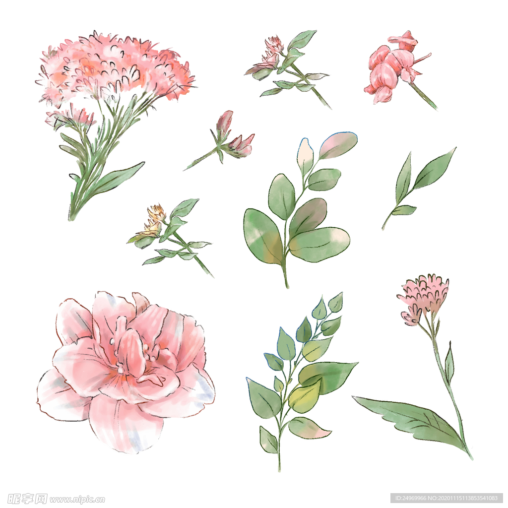 绿植花卉