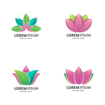 花朵图标