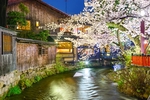 日本樱花