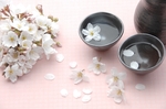 日本樱花