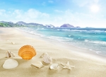 夏日沙滩