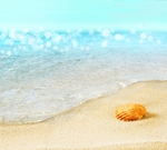 夏日沙滩