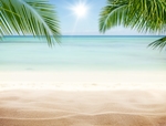 夏日沙滩