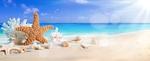 夏日沙滩