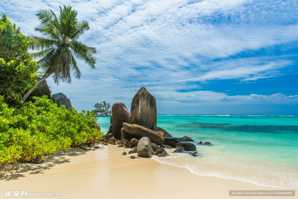 海滩棕榈椰树风景