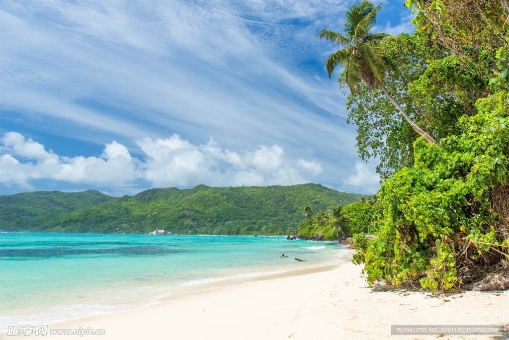 海滩棕榈椰树风景