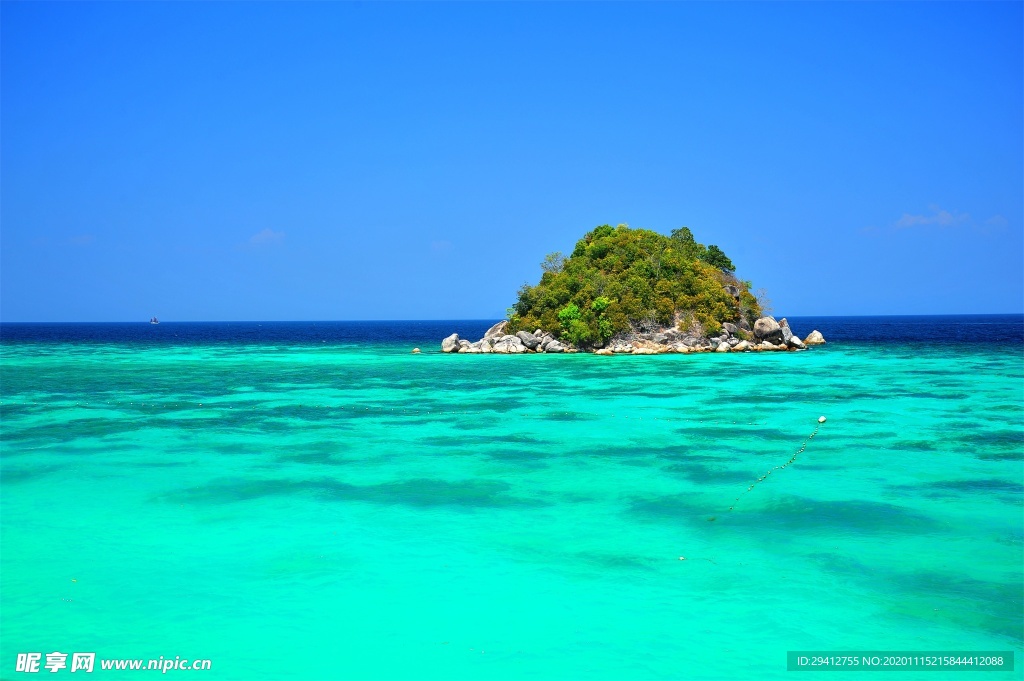 海滩棕榈椰树风景