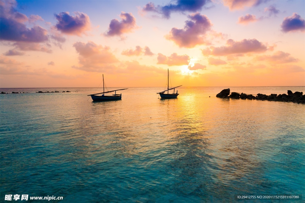 海滩棕榈椰树风景