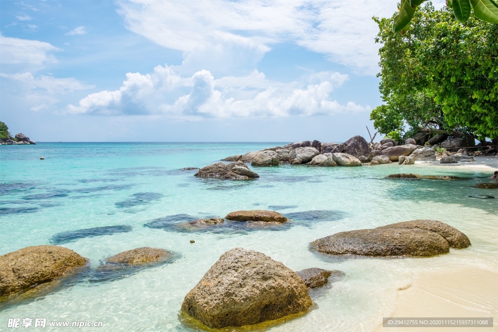 海滩棕榈椰树风景