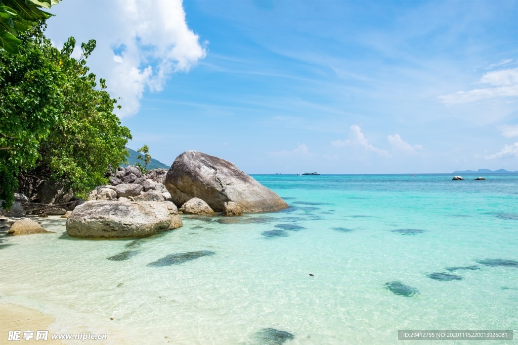 海滩棕榈椰树风景