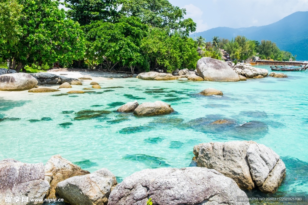 海滩棕榈椰树风景