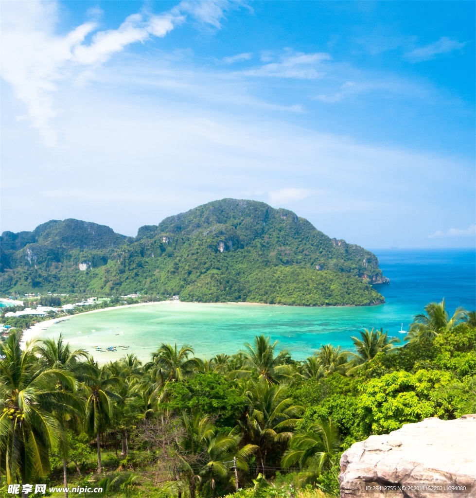 海滩棕榈椰树风景