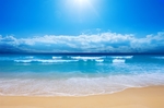 海滩棕榈椰树风景