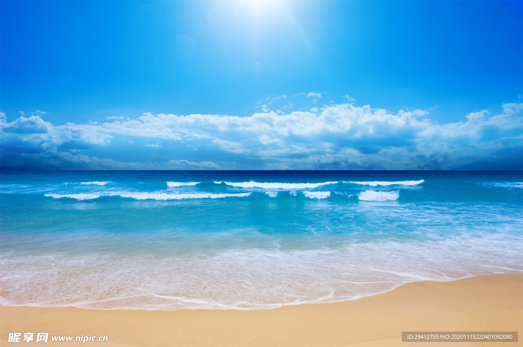 海滩棕榈椰树风景