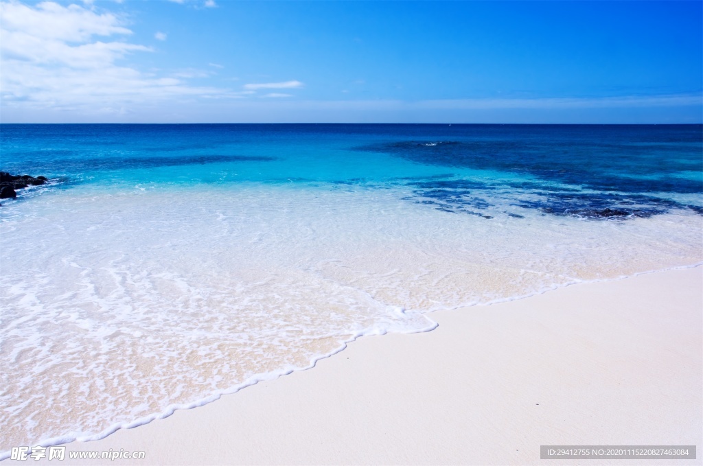 海滩棕榈椰树风景