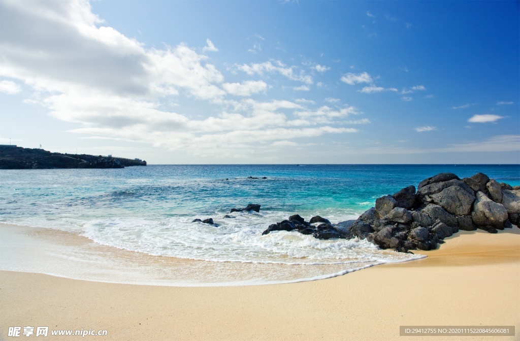 海滩棕榈椰树风景