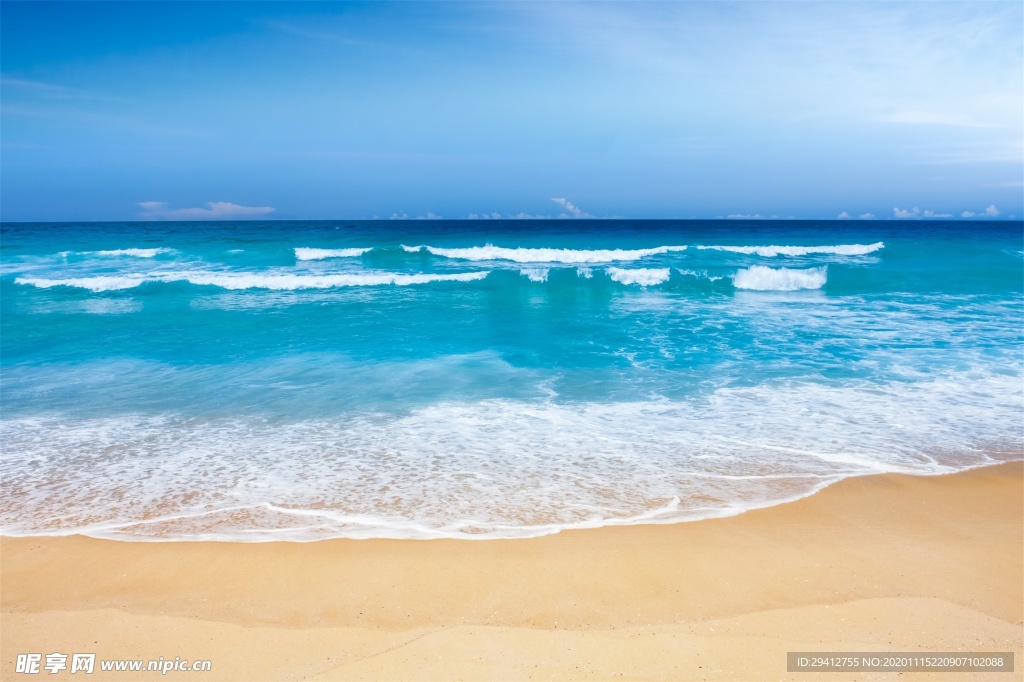 海滩棕榈椰树风景