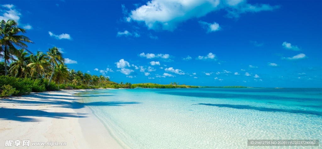 海滩棕榈椰树风景