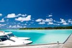 海滩棕榈椰树风景