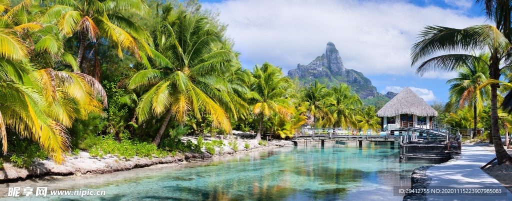 海滩棕榈椰树风景