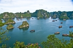 海滩棕榈椰树风景